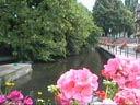 colmar2-t.jpg (13776 bytes)