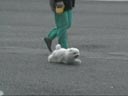 dogs2-t.jpg (7779 bytes)